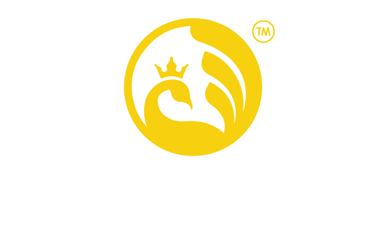 Công Ty TNHH Chigiri